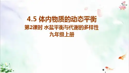 体内物质的动态平衡课件