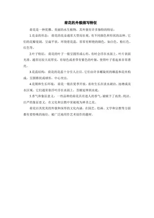荷花的外貌描写特征