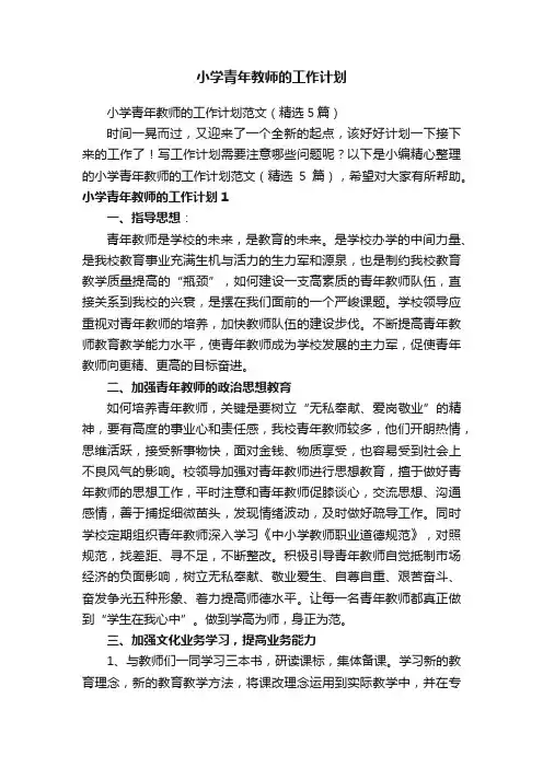 小学青年教师的工作计划范文（精选5篇）