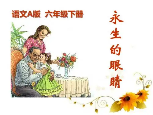 《永生的眼睛》PPT课件9 (共17张PPT)