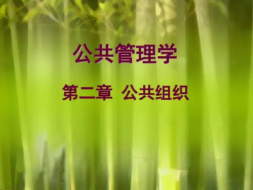 公共组织 PowerPointPresen t