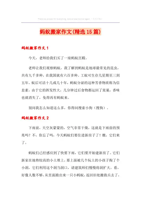 蚂蚁搬家作文(精选15篇)
