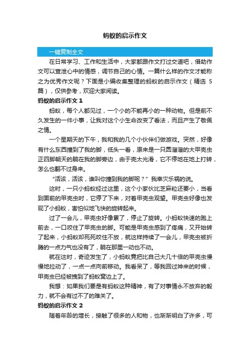 关于蚂蚁的启示作文（精选5篇）