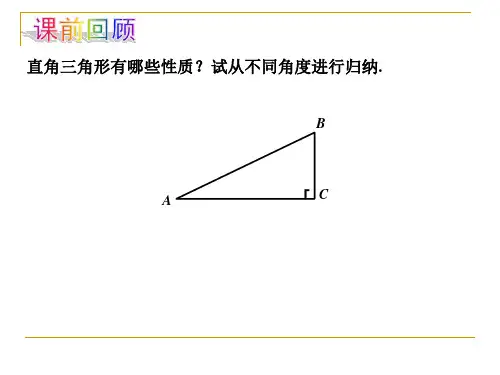 北师大版初中数学九年级下册《1.1从梯子的倾斜程度谈起》课件