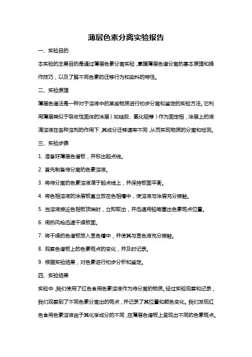 薄层色素分离实验报告