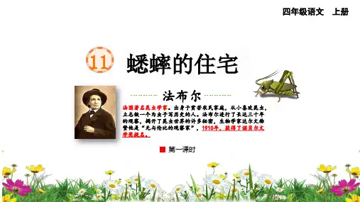 11蟋蟀的住宅  课件(共28张PPT)
