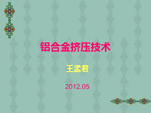 挤压理论与技术ppt课件