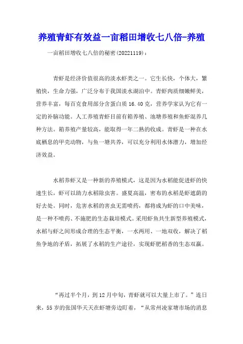 养殖青虾有效益一亩稻田增收七八倍[每日农经] - 养殖视频