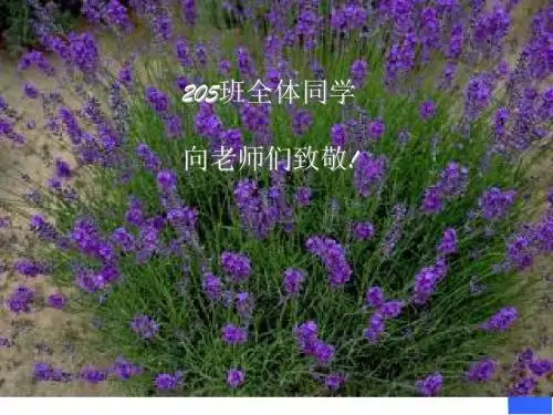 中考作文辅导——写真事,抒真情优秀课件