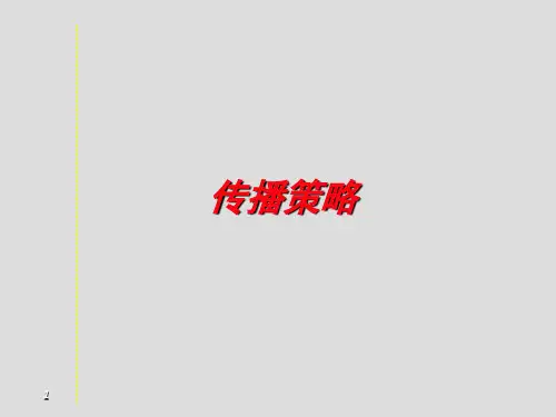 品牌的传播策略PPT