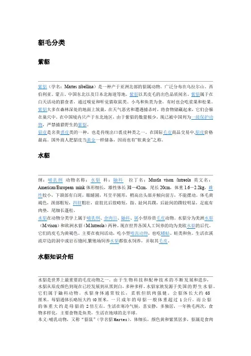 貂毛分类