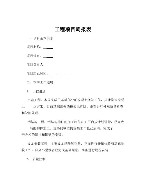工程项目周报表