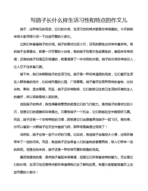 写鸽子长什么样生活习性和特点的作文儿