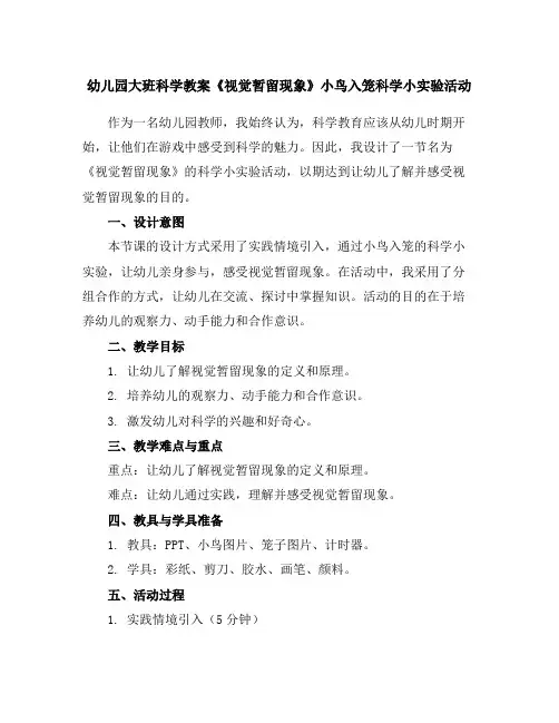 幼儿园大班科学教案《视觉暂留现象》小鸟入笼科学小实验活动