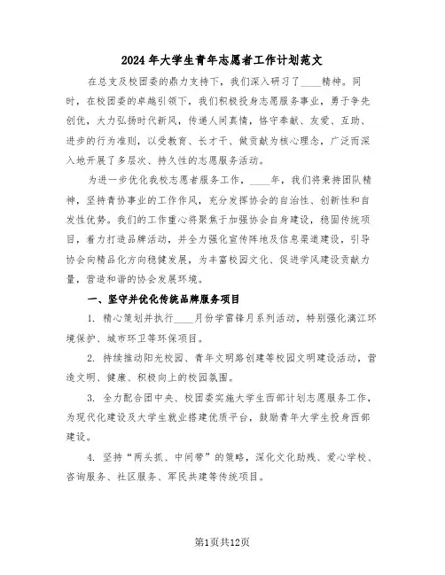 2024年大学生青年志愿者工作计划范文(6篇)