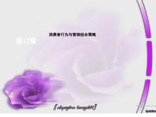 消费者行为与营销组合策略(ppt47张)