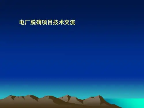 电厂脱硝的项目技术交流