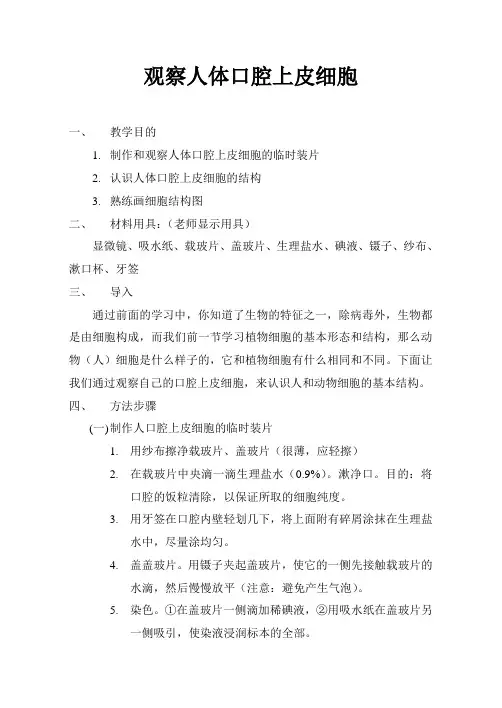 生物人教版七年级上册观察人体口腔上皮细胞