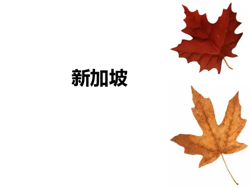 新加坡的中文介绍PPT课件