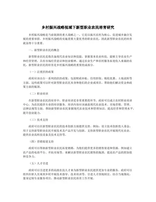 乡村振兴战略视域下新型职业农民培育研究