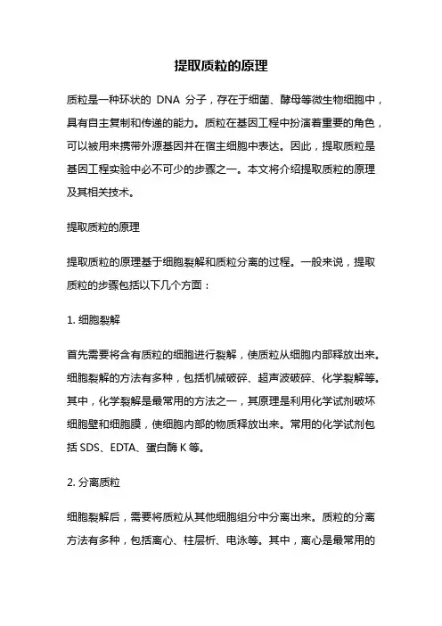 提取质粒的原理