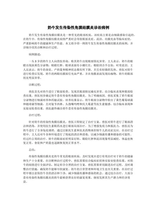 奶牛发生传染性角膜结膜炎诊治病例