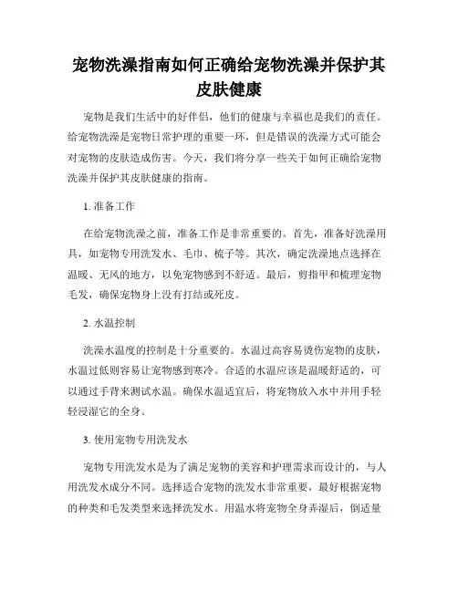 宠物洗澡指南如何正确给宠物洗澡并保护其皮肤健康