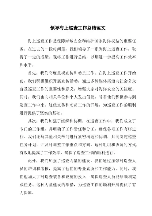 领导海上巡查工作总结范文