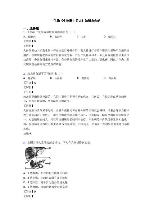 生物《生物圈中的人》知识点归纳