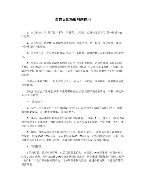 白芸豆的功效与副作用