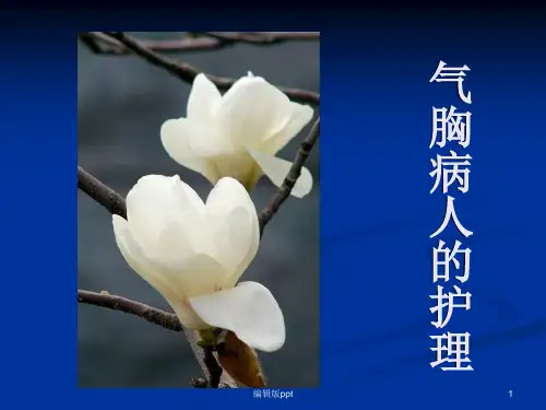 气胸病人的护理PPT课件