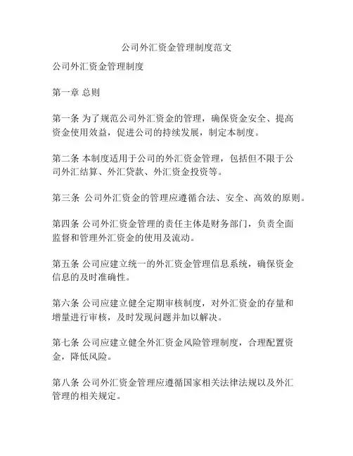 公司外汇资金管理制度范文