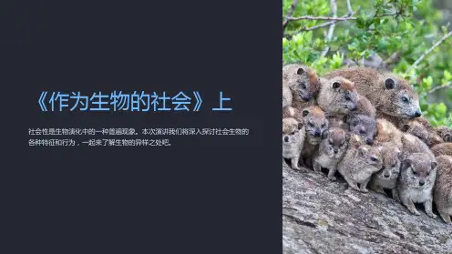 《作为生物的社会》上