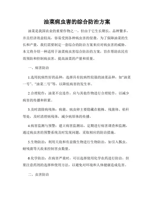 油菜病虫害的综合防治方案