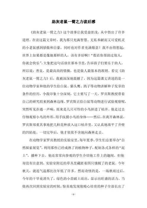 助灰老鼠一臂之力读后感