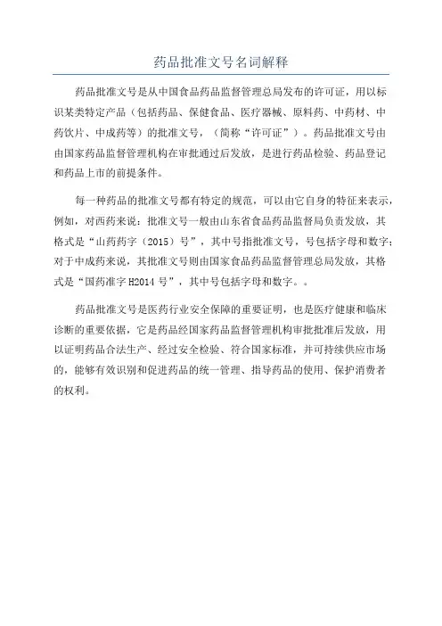 药品批准文号名词解释