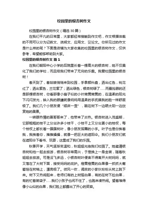 校园里的银杏树作文