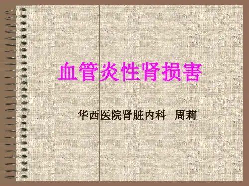 血管炎性肾损害