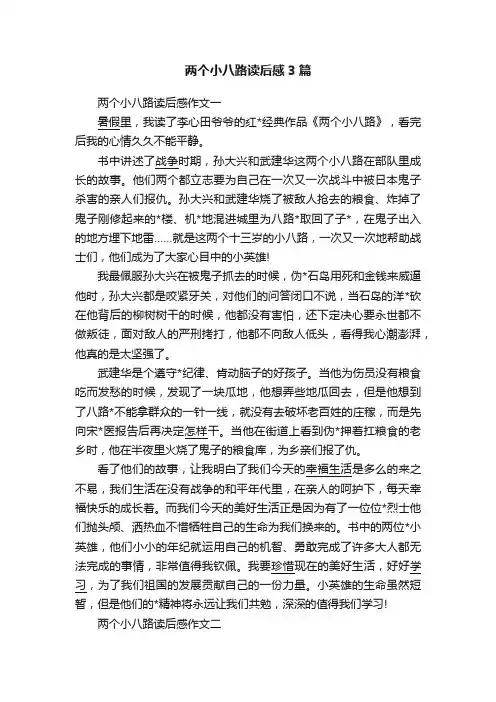 两个小八路读后感3篇