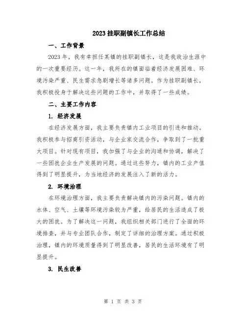 2023挂职副镇长工作总结