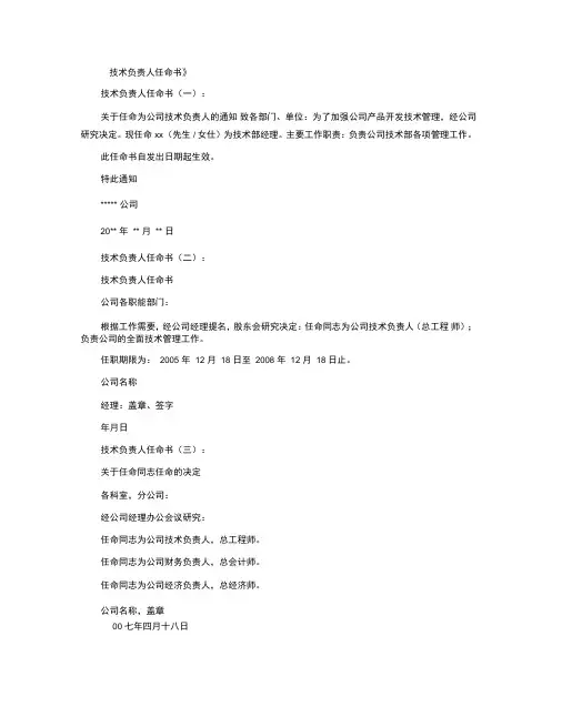 技术负责人任命书