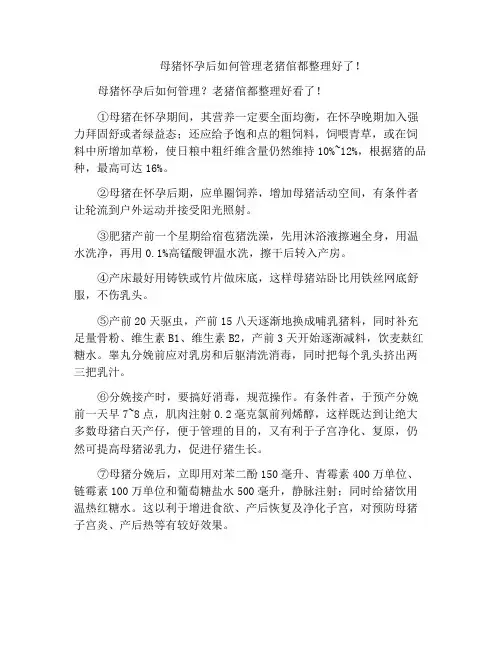 母猪怀孕后如何管理老猪倌都整理好了!