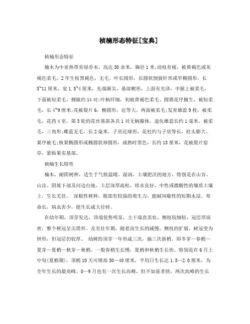 桢楠形态特征[宝典]