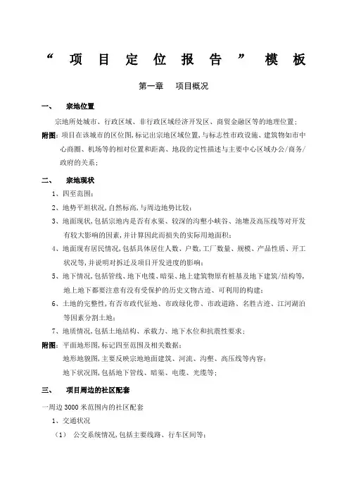 项目定位报告