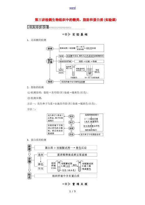 (全国通用)高考生物一轮复习 第一单元 细胞及其分子组成 第三讲 检测生物组织中的糖类、脂肪和蛋白质
