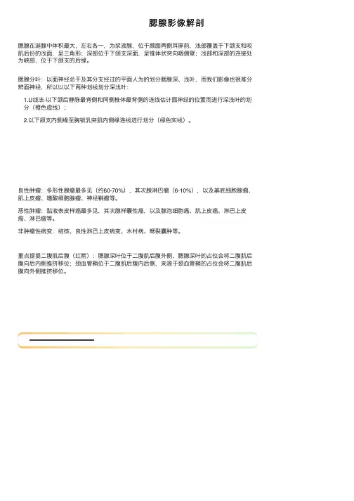 腮腺影像解剖