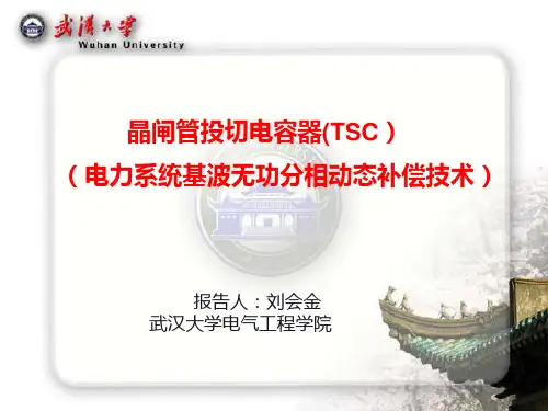 电能质量控制技术之晶闸管投切电容器TSC资料