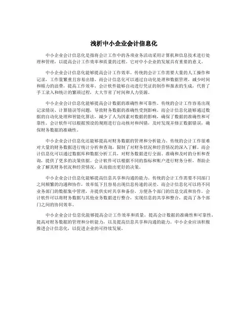 浅析中小企业会计信息化