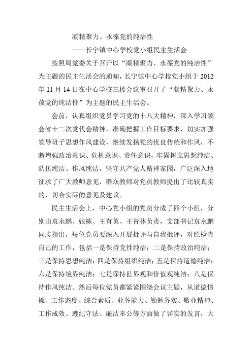 凝精聚力永葆党的纯洁性简报