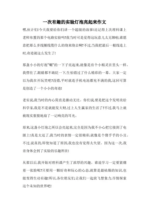 一次有趣的实验灯泡亮起来作文